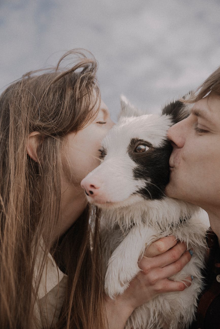 man and a woman kissing a pet dog